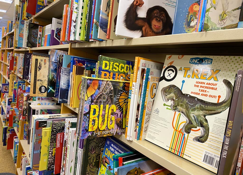 Dinosaurs Books