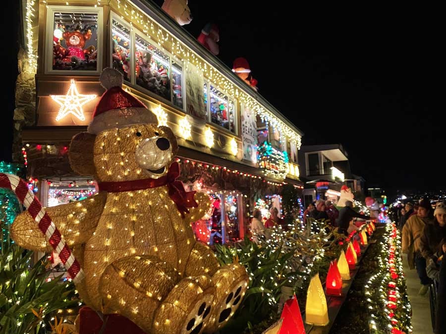 Beary Christmas Decorations