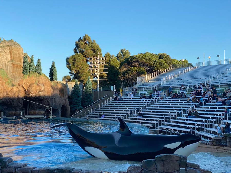 orca show Seaworld