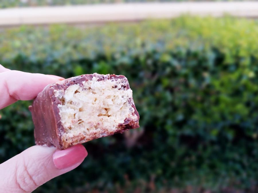 Hickory Farms Chocolate Dipped Marshmallow Treats