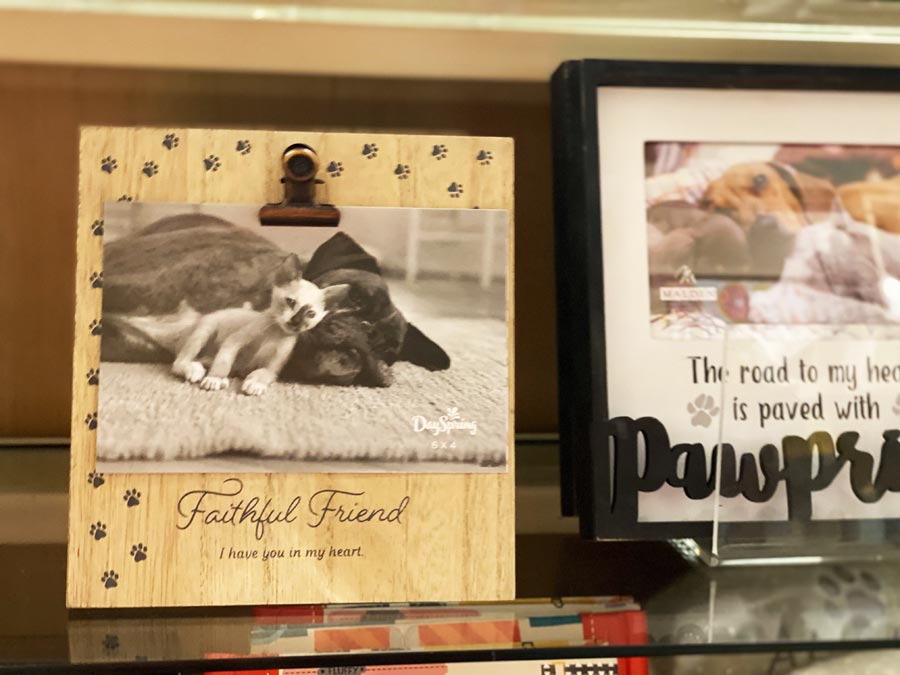 photo frames for pet lovers