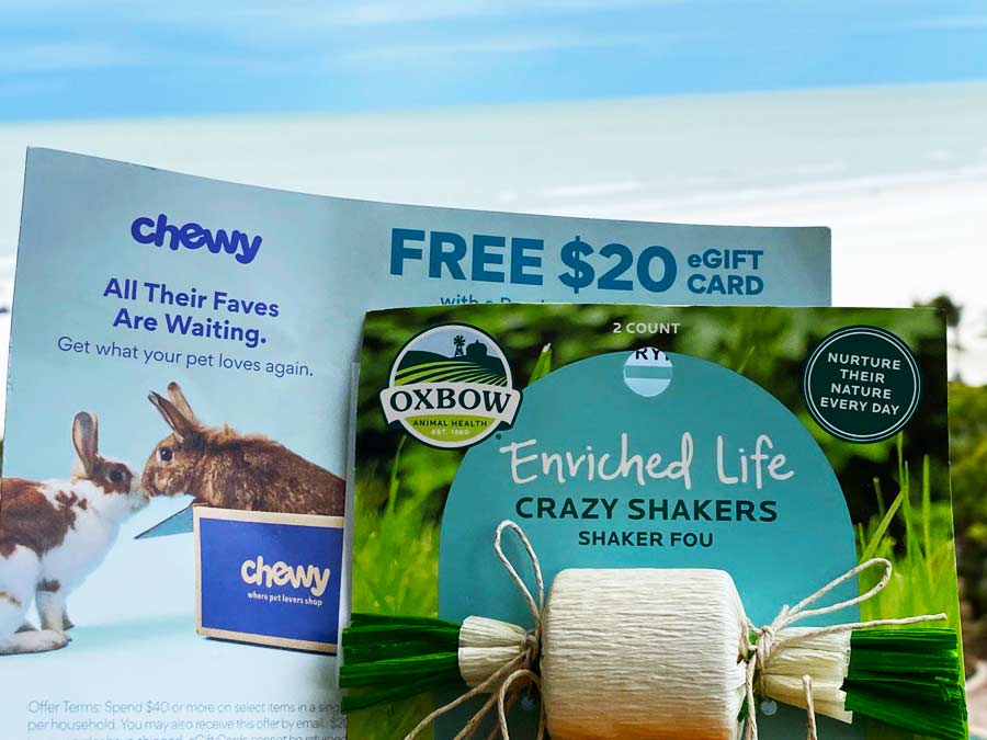 Free Chewy eGift Card