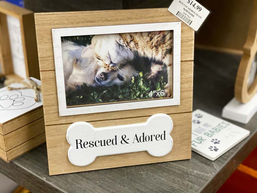 Rescued Adored Frame