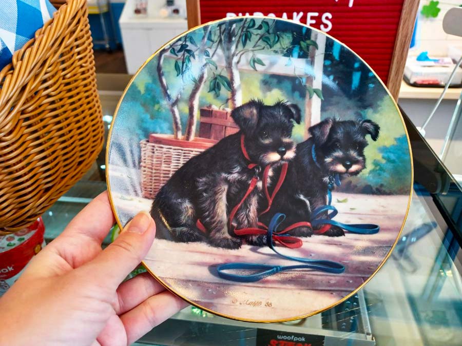 Woofpak cute plates