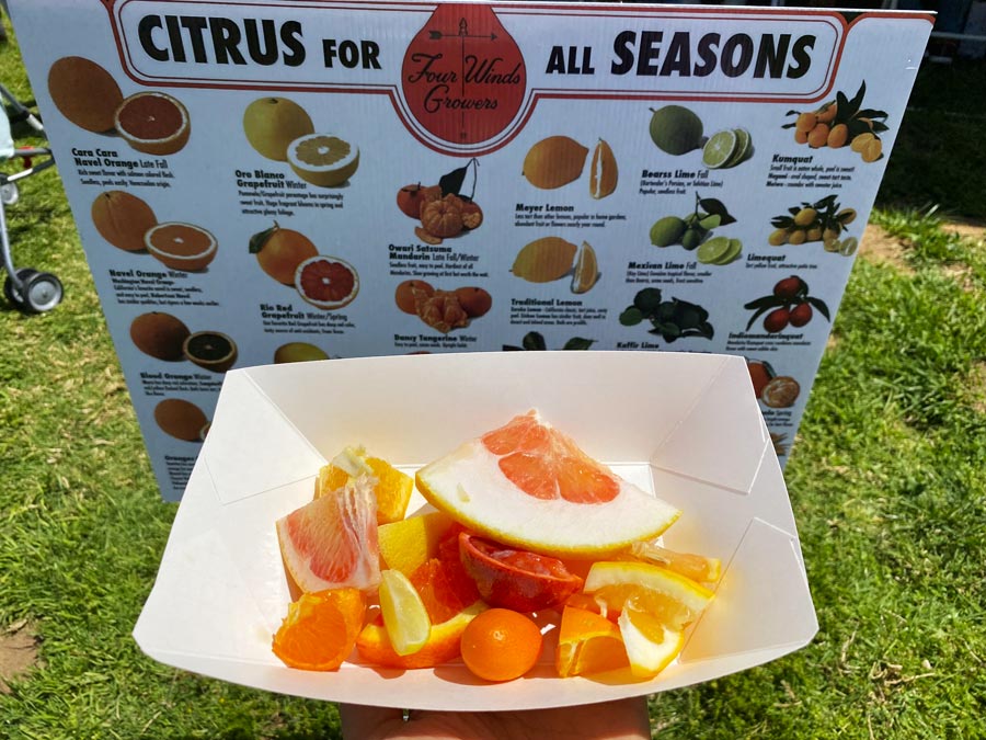 Citrus for all Seasons poster 