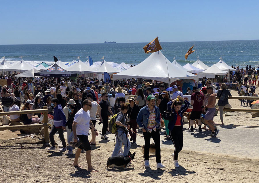 Corgi Beach Day Festival Visitors