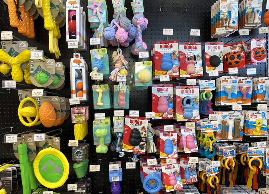 Dog Chew Toys at Petland Florida