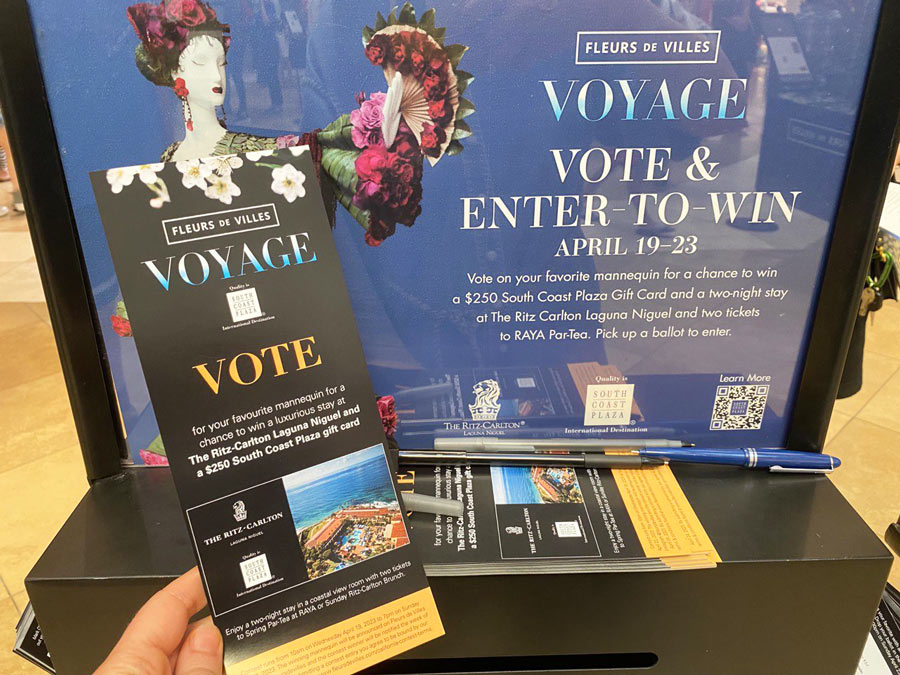 Fleurs de Villes VOYAGE Vote Flyer