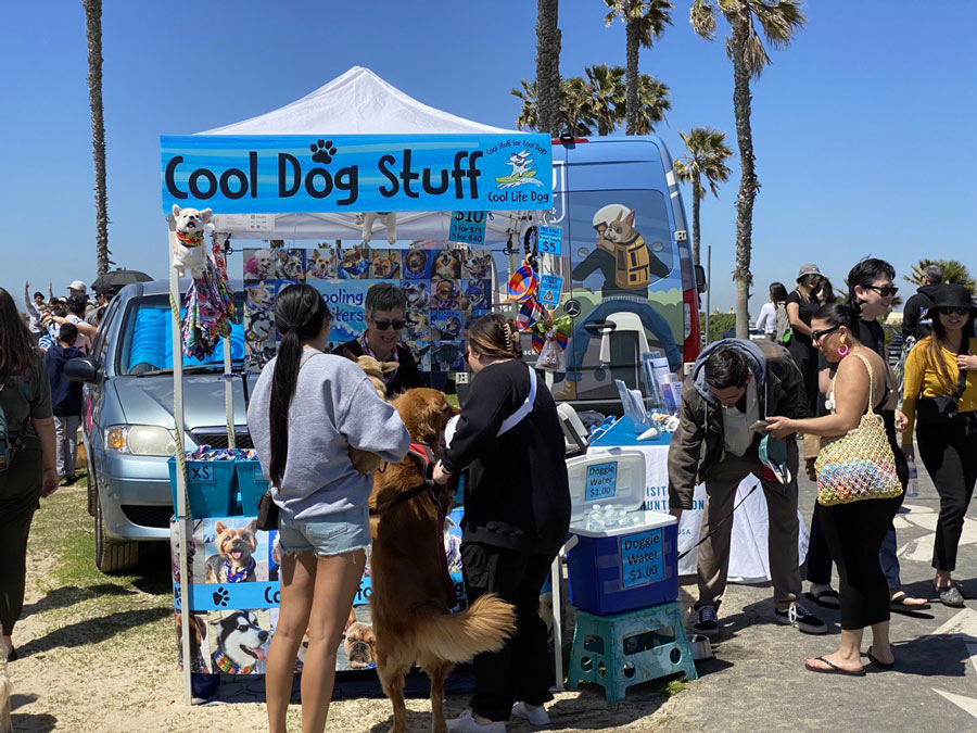 Sale of Cool Dog Stuff