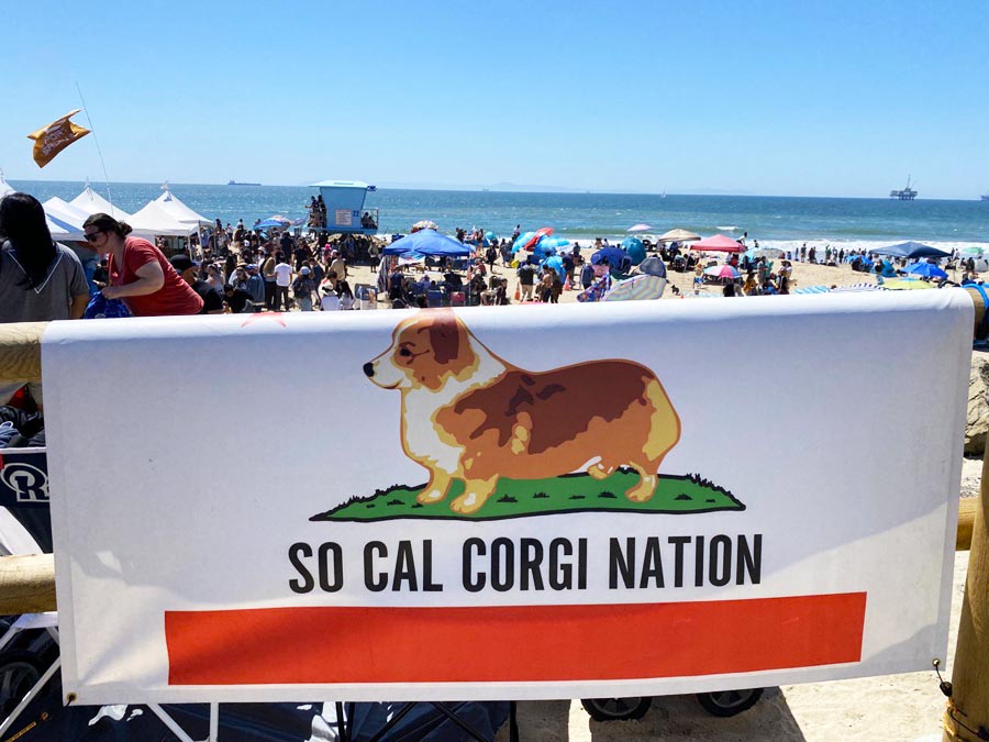 So Cal Corgi Nation festivities