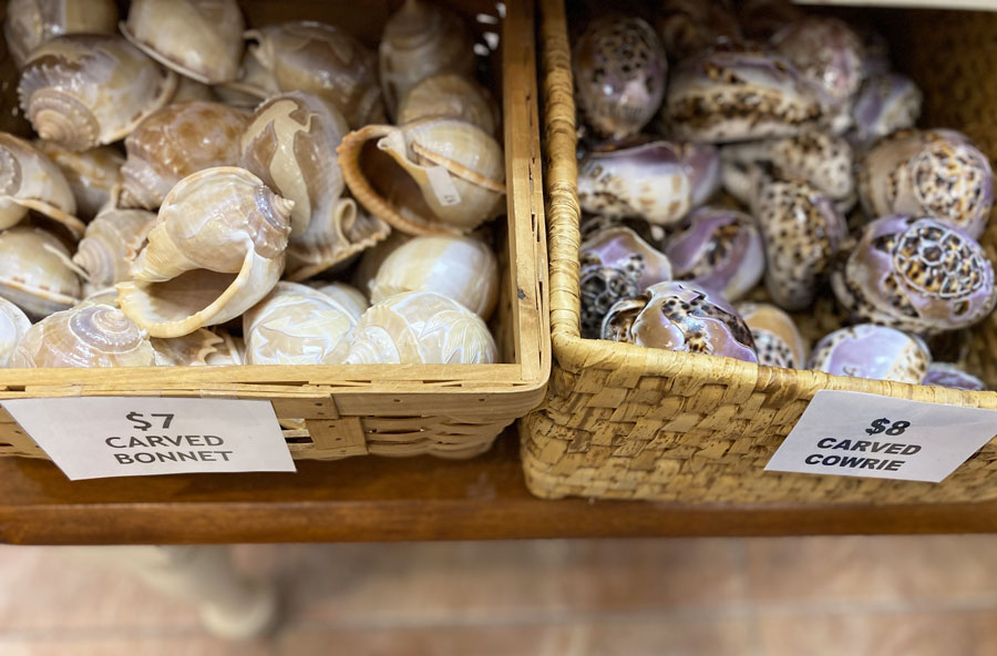 Carved Shells