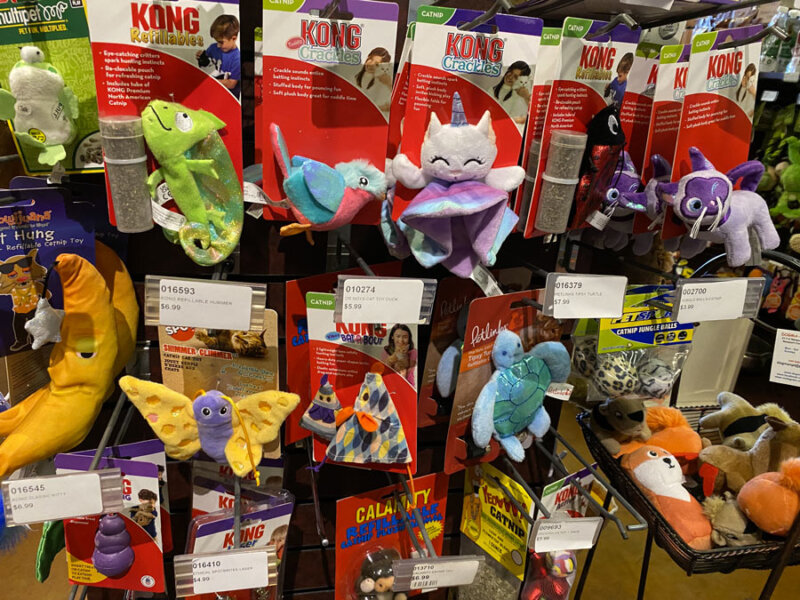 Discovering Dogma An Extensive Review of the Ultimate Pet Destination