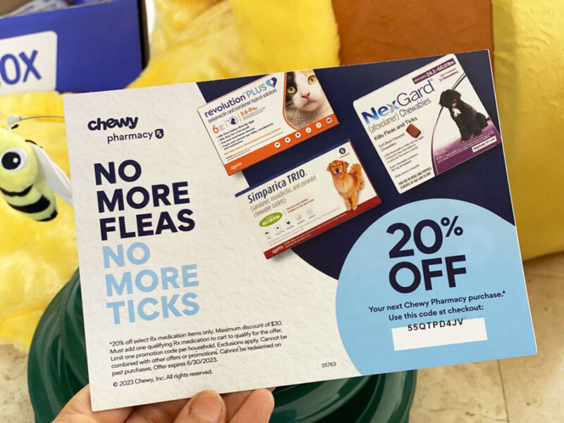 Unboxing the Fun A Review of the Chewy Goody Box Kitten Toys & Treats