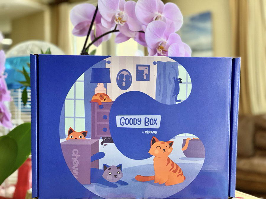 Chewy Goody Box Kitten Toys & Treats