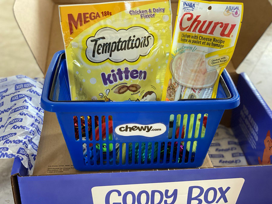 Chewy Goody Box Treats for Cat
