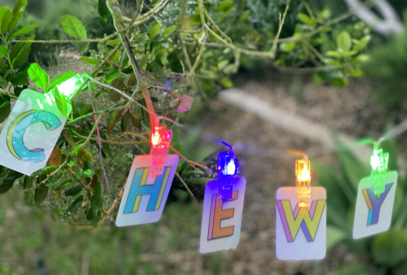 Chewy’s Return Policy. FiveStar Customer Service SuperMall