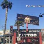 Free Pet Photo Billboard for a Month