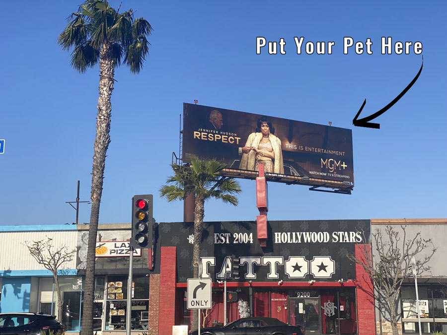 Free Pet Photo Billboard for a Month