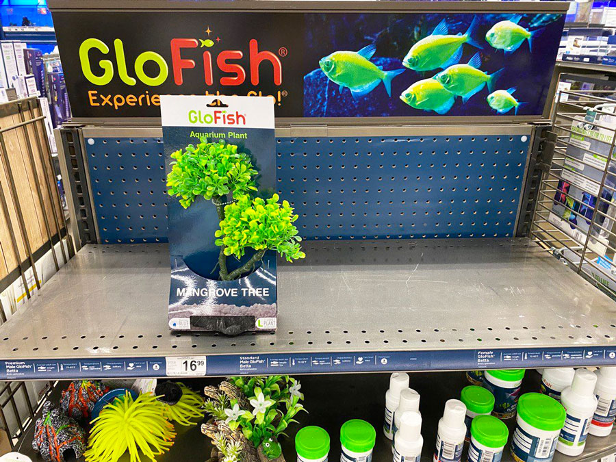GloFish Aquarium Plant