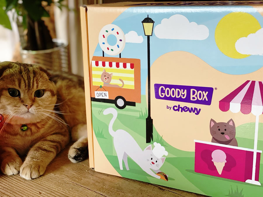 Cats Goody Box By Chewy