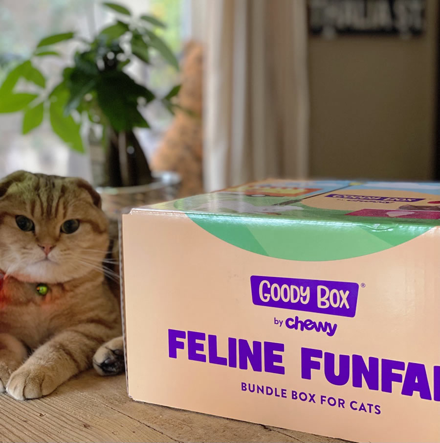 For Cats Only - Goody Box Foodie