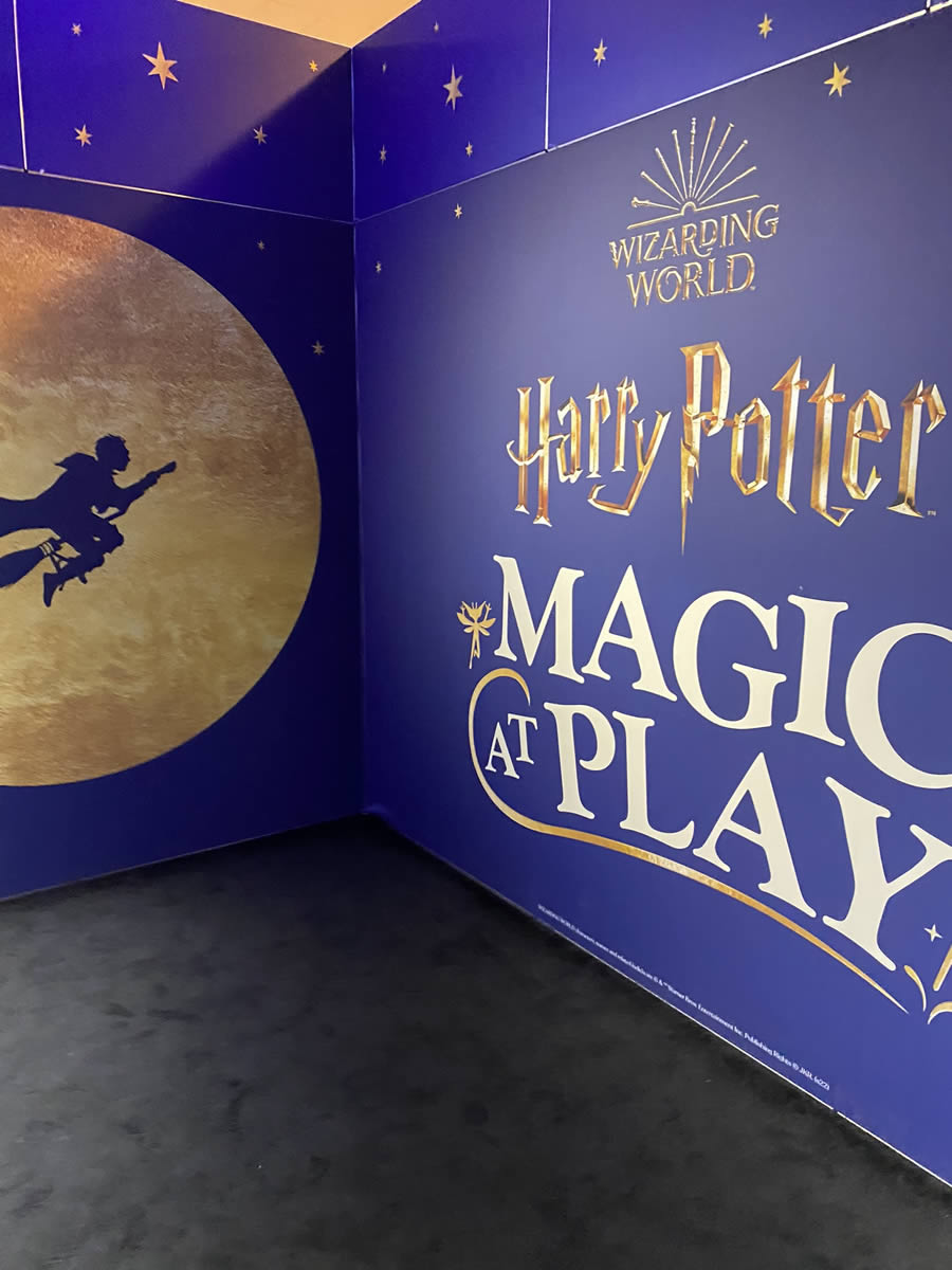 Harry Potter Magic At Play