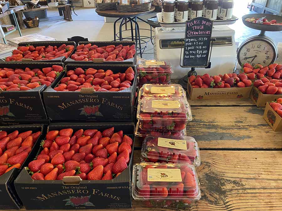 The Original Manassero Farms fresh strawberries