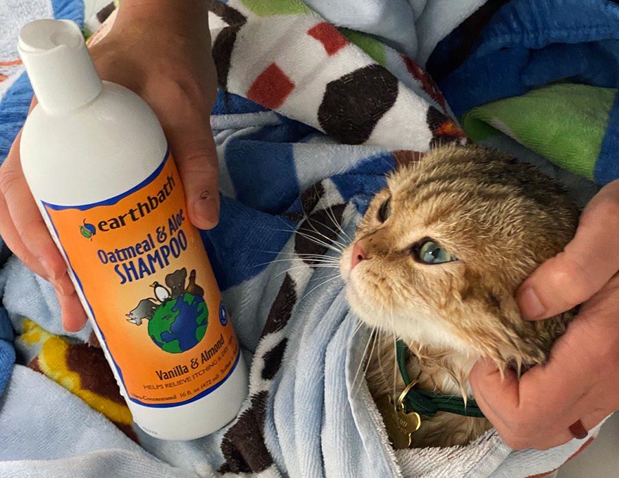 preferred organic shampoos for cats