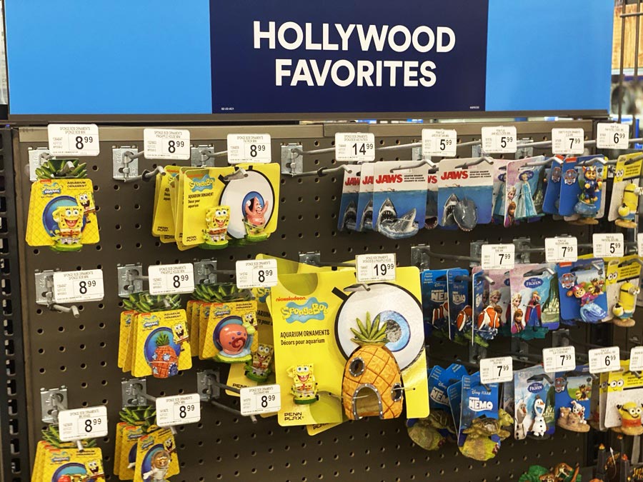 Petco Hollywood Favorites