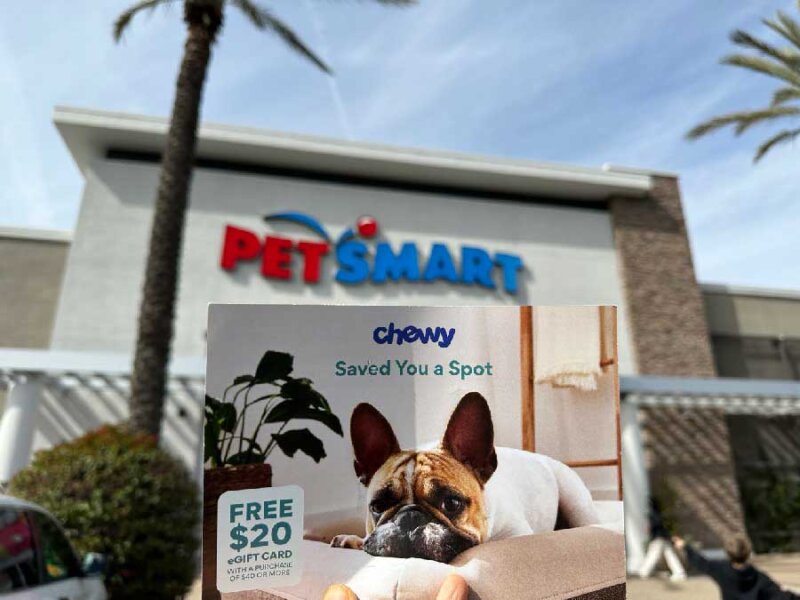 Petsmart Vs Chewy: Which Pet Store Is The Best Choice? - SuperMall