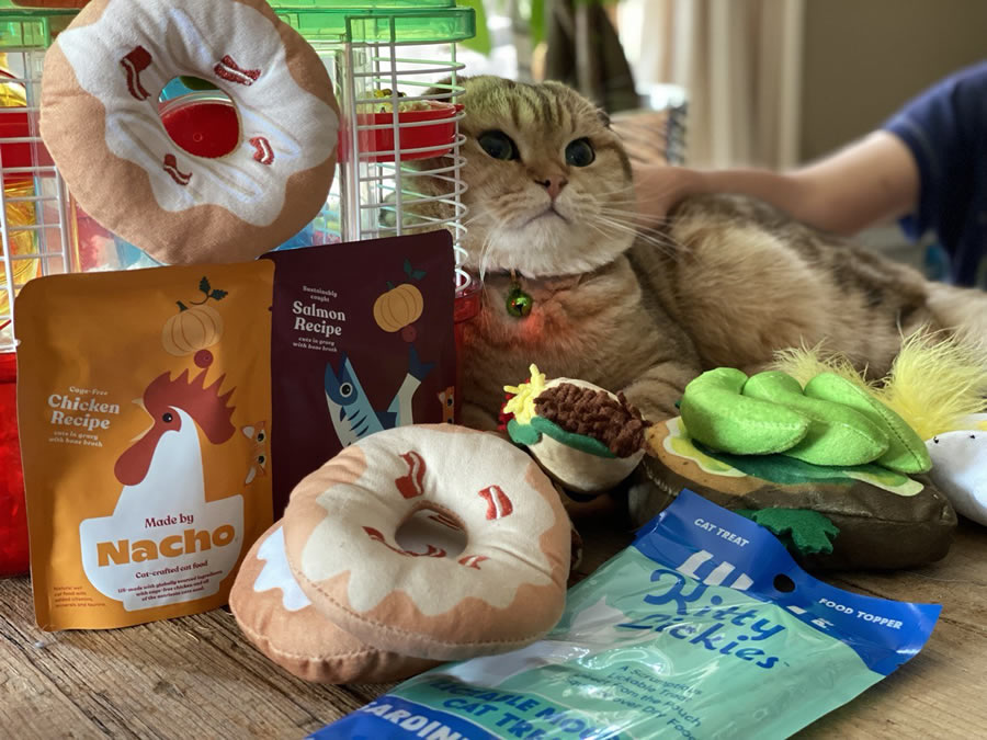 Recipes Made By Nacho For Cats 