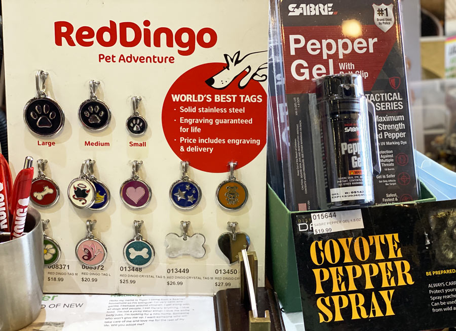 Red Dingo Pet ID Tags at Dogma-Newport Pet Store