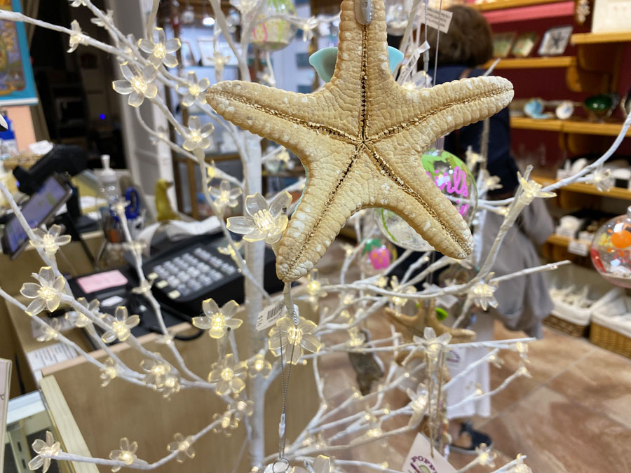 Starfish Wall Decor