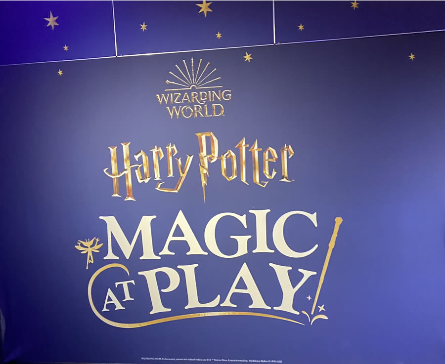 Wizarding Harry Potter World in Magic at Play