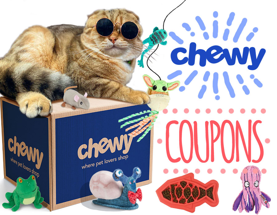 Chewy Coupon Codes for Cats