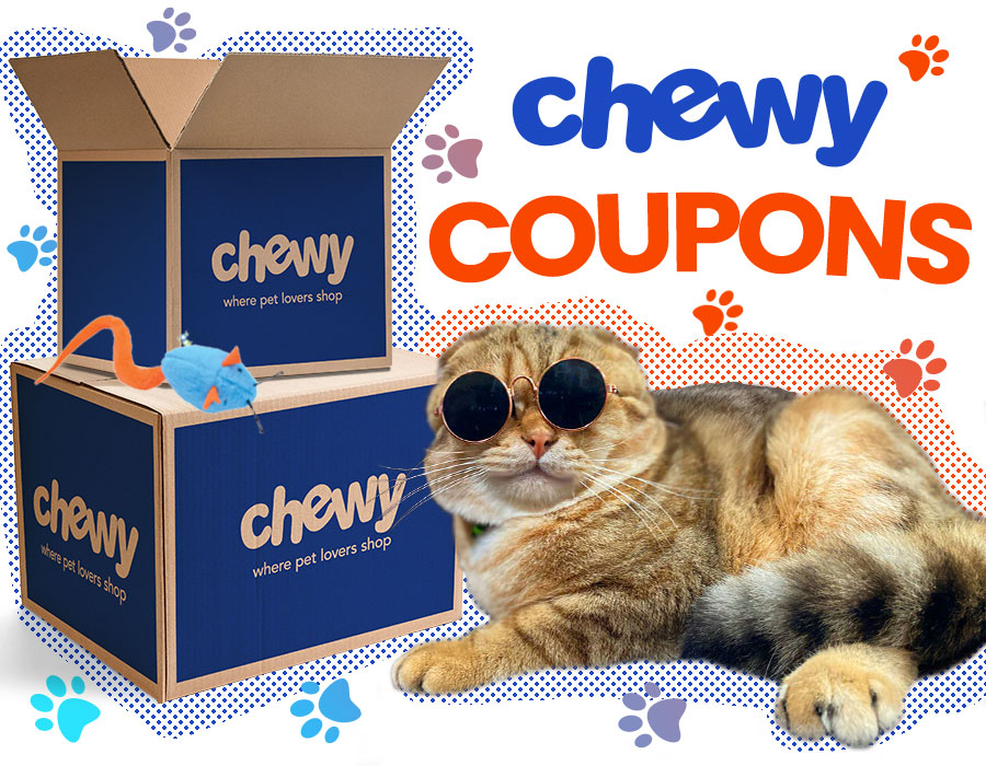 Next time you're planning a hotel stay with your cat, don't forget to check out Chewy's coupons and discounts. 