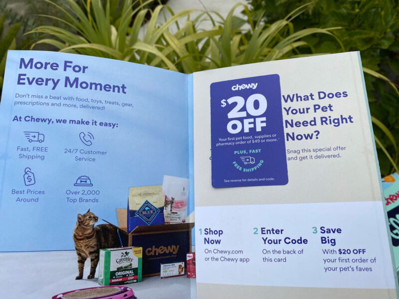 Chewy's LimitedTime Offer 20 Discount on Pet Essentials for New