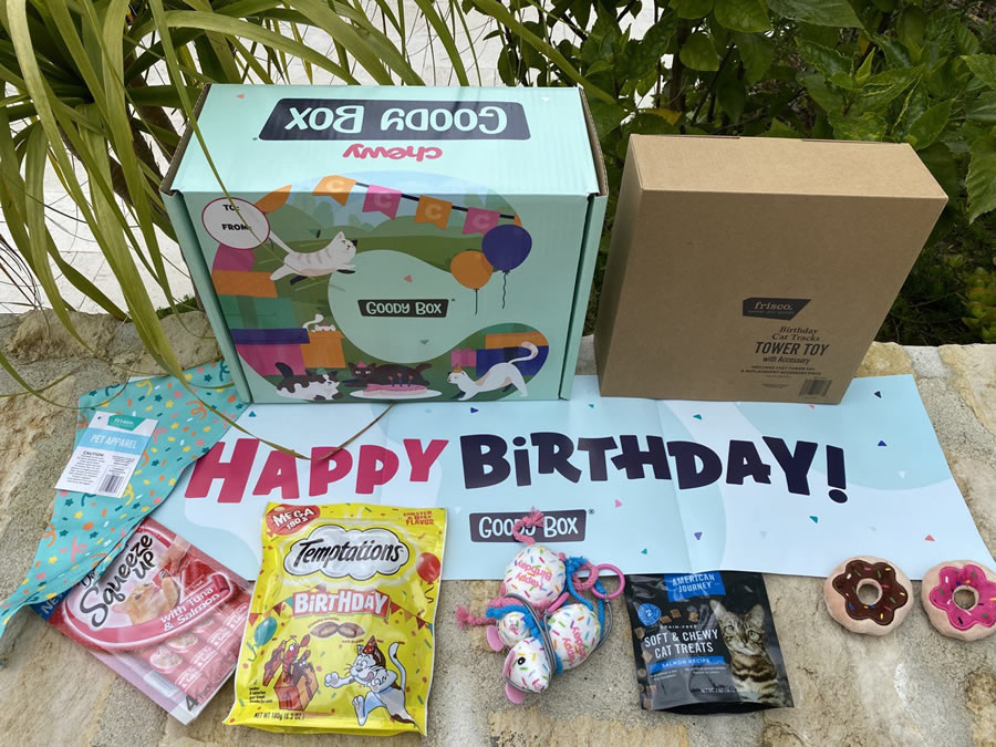 Chewy Goody Box is packed with irresistible toys, delicious treats, and a trendy collar.