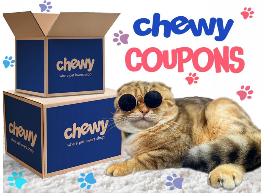 Is Chewy enough for all of your pet s needs The answer is NO SuperMall