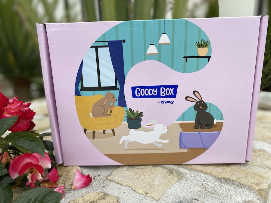 Chewy So Hoppy Together Box