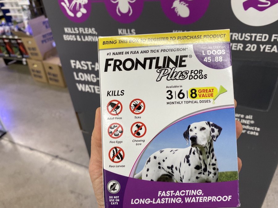 Chewy frontline hot sale for dogs