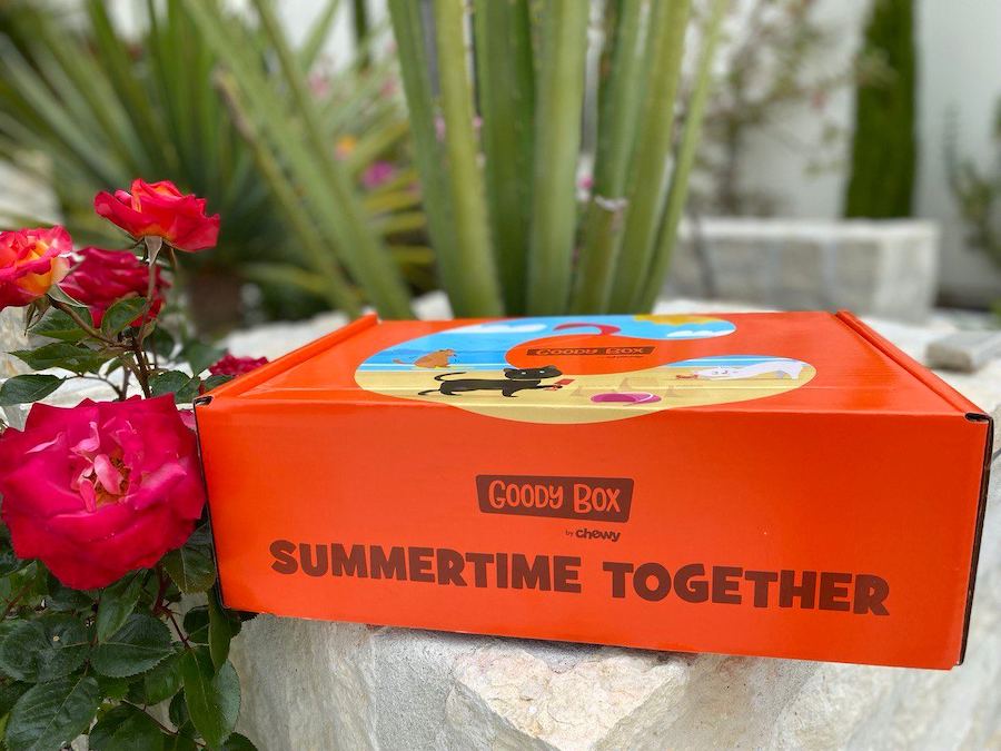 Goody Box Summertime Together by Chewy