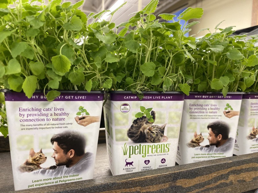 Get Petgreens' live plants to enrich your pet's life!
