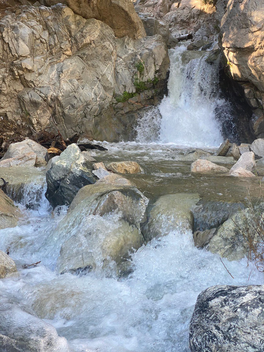 As you hike with your pup by your side, you come across a majestic waterfall. 