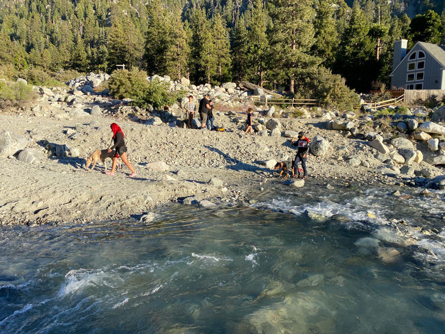 Enjoy the great outdoors with your four-legged friend on a mountain hiking adventure.