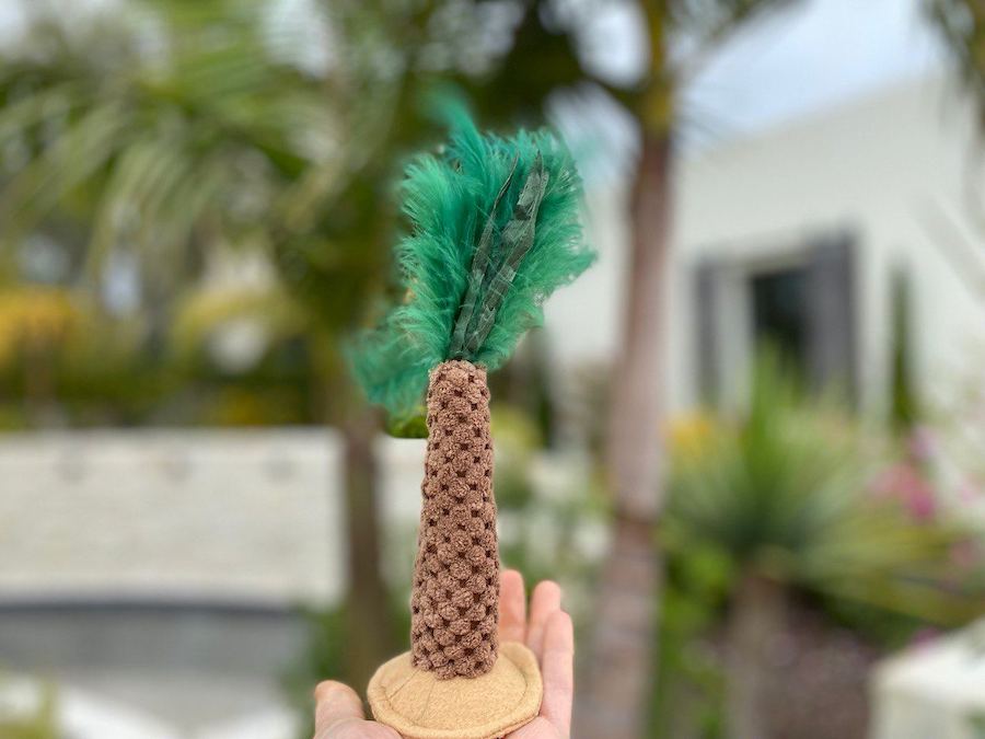Frisco Palm Tree Kicker