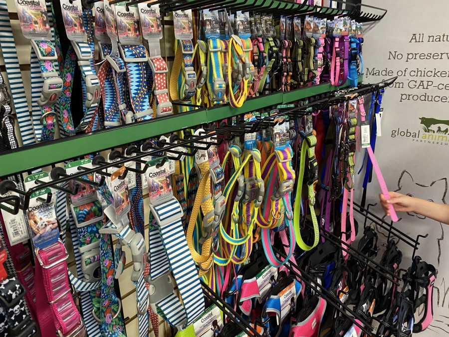 Discover Pet Colars and Accessories at Pet Market's!