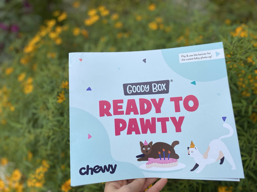 Ready to party with Chewy Goody Box