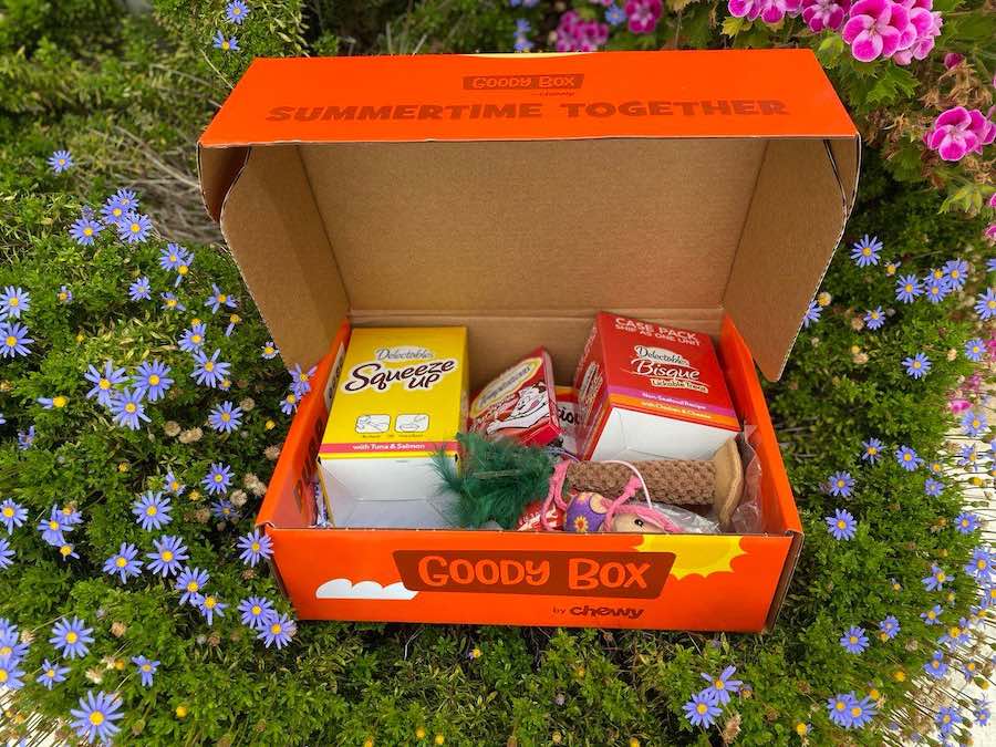 Summertime Together Goody Box with handpicked toys ant treats