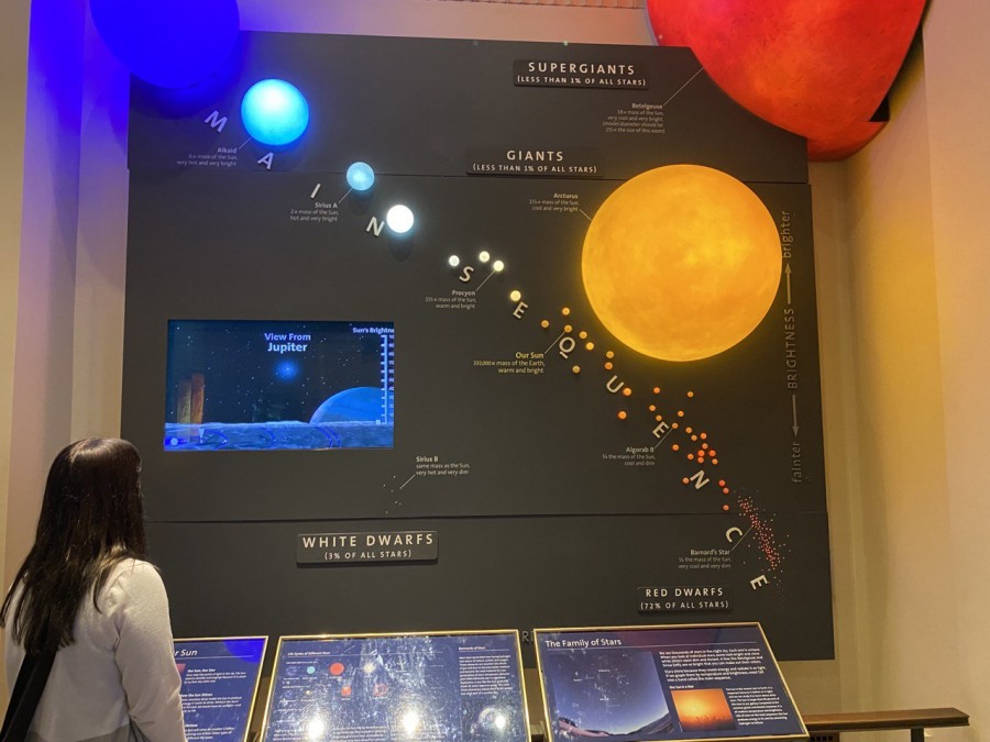 Discover the Different Types of Stars in the Universe